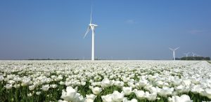 Les Pays-Bas : victoire inattendue pour le parti progressiste aux élections