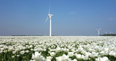 Les Pays-Bas : victoire inattendue pour le parti progressiste aux élections