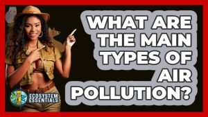 Les Principaux Types de Pollution de l'Air