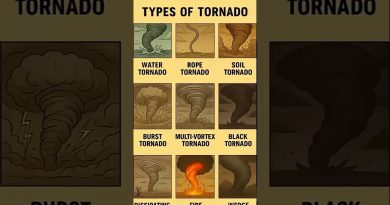 🌪️ Les Tornades : Types et Plus Mortelles au Monde 🌪️