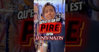 Les VAE : un véritable fléau ?