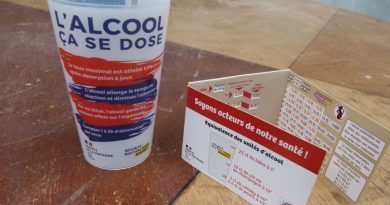 Les actions des IDSR - ICI