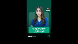 Les arbres : un atout naturel contre le changement climatique