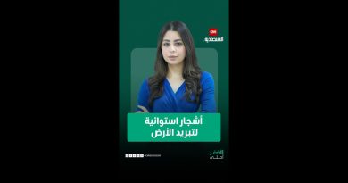 Les arbres : un atout naturel contre le changement climatique