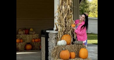 Les citrouilles de Mamie-Bibi : un Halloween créatif !