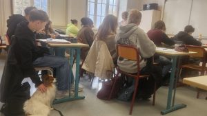 "Les classes sont beaucoup plus calmes" : pourquoi des chiens ont intégré un lycée dans les Pyrénées