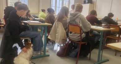 "Les classes sont beaucoup plus calmes" : pourquoi des chiens ont intégré un lycée dans les Pyrénées