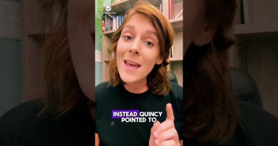 Les créateurs de contenu pro-Israël sont-ils financés par l'État ?