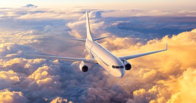 Les députés exonèrent les Ultramarins de la taxe sur le transport aérien 