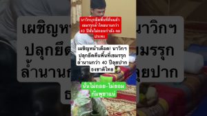 Les dernières tendances EDM : remix, DJ et news GOT7