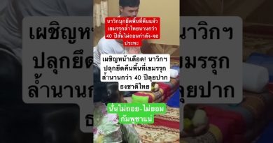 Les dernières tendances EDM : remix, DJ et news GOT7