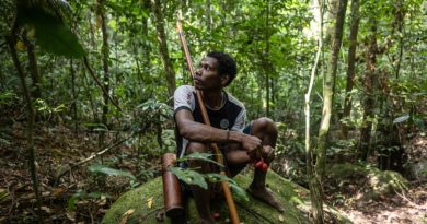 Les derniers chasseurs-cueilleurs de Thaïlande revendiquent leur droit aux terres