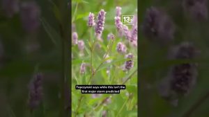 Les dirigeants se préparent aux impacts côtiers d'une tempête