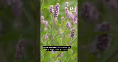 Les dirigeants se préparent aux impacts côtiers d'une tempête