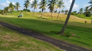 Les élus ont décidé un changement d'administration pour le Golf international