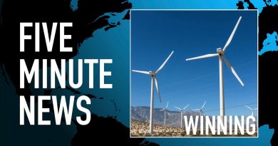 Les énergies renouvelables surpassent le charbon : un tournant mondial