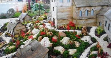 Les festivités de Noël se préparent dans cette commune de l'Orne