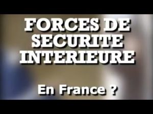 Les forces de sécurité intérieure en France : un aperçu