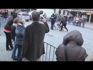 Les forces de sécurité intérieure s'exposent à Troyes