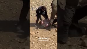 Les forces israéliennes attaquent des activistes pro-Palestiniens