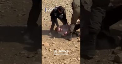 Les forces israéliennes attaquent des activistes pro-Palestiniens