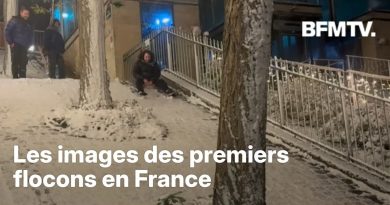 Premiers flocons de neige tombés en France : découvrez les images