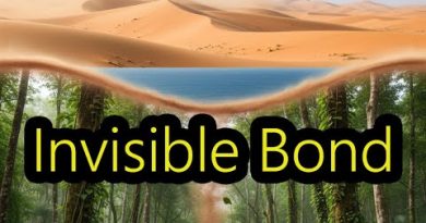 Les liens invisibles entre le Sahara et l'Amazonie