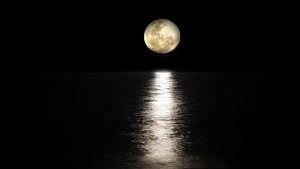 Les marées : l'influence fascinante de la Lune