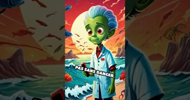 Les marées rouges : un phénomène océanique fascinant