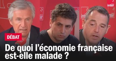Les maux de l'économie française : analyses de Fourquet, Beytout et Zemmour