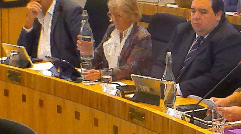 Vincent Gouanelle votera, mais...