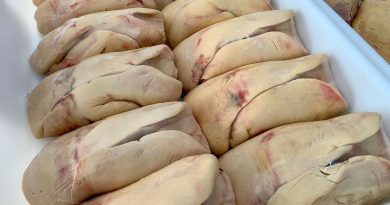 illustration agrandir l