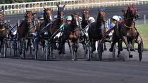 Pronos hippiques : analyse des courses du samedi 29 novembre 2025