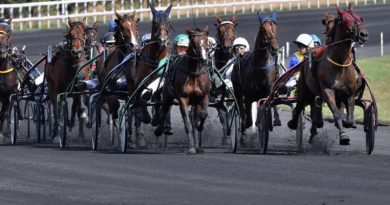 Pronos hippiques du mardi 4 novembre 2025 : analyses et conseils de paris