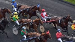 Pronos hippiques du jeudi 20 novembre 2025 : analyses et conseils de paris