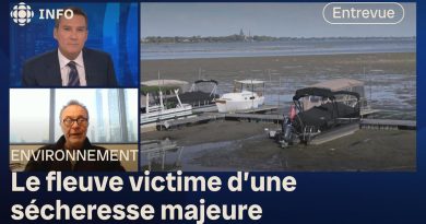 Les raisons de la baisse du fleuve Saint-Laurent expliquées