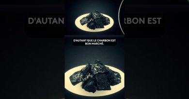 Les risques environnementaux du charbon