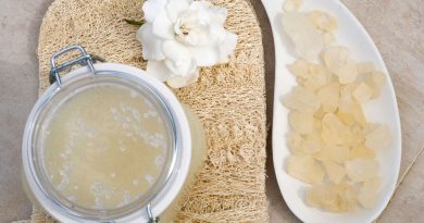 Les savons à bondillons - ICI