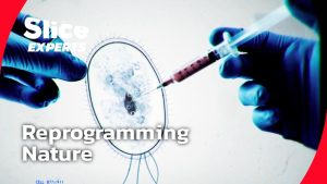 Les scientifiques qui réécrivent le code de la vie | PARTIE 2