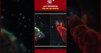 Les scientifiques stupéfaits par leurs découvertes