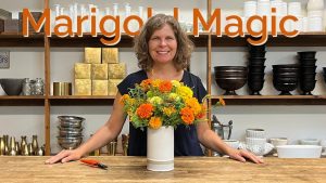 Les soucis : l'arme secrète des fleuristes 🌼