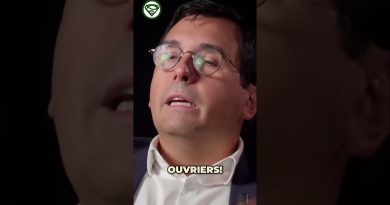 Les stratégies de manipulation des informations