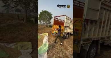 Les tendances : Bollywood, automobile et humour du 11 septembre