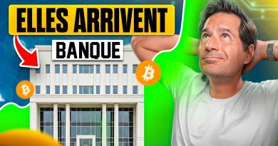 Leur arrivée transforme à jamais l'univers de la crypto.