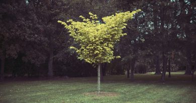 L'expert du jardin, ici Isère - ICI