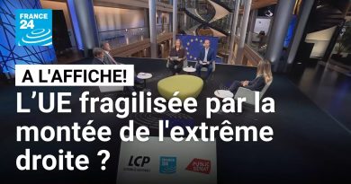 L'extrême droite en hausse en Europe : l'UE en danger ?