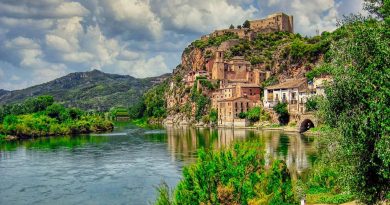 Pays de la Loire, Nantes, Angers, Loire river, castle, vineyard, coast, landscape