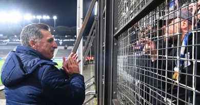 illustration agrandir l