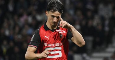 illustration agrandir l