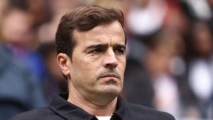 illustration agrandir l